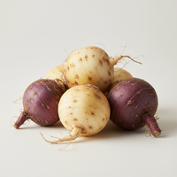 Maca Root Extract